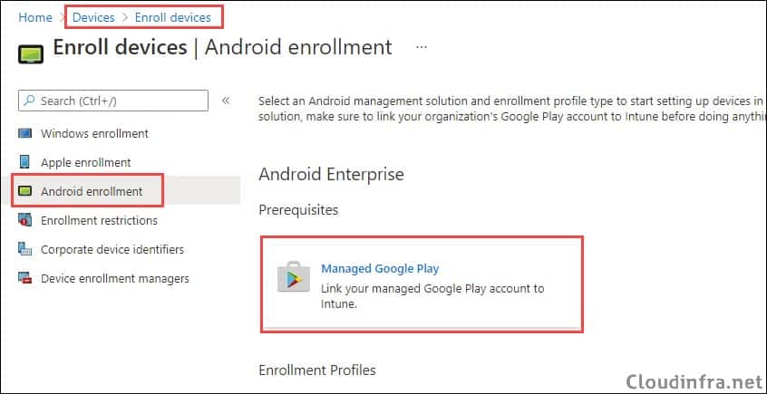 Managed Google Play