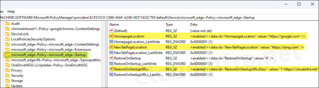 Edge Startup Page, Home Page, New Tab Page setting in Registry