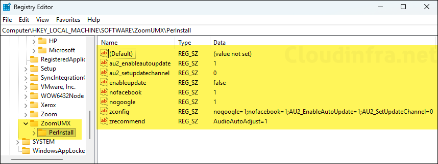 Zoom App settings in registry