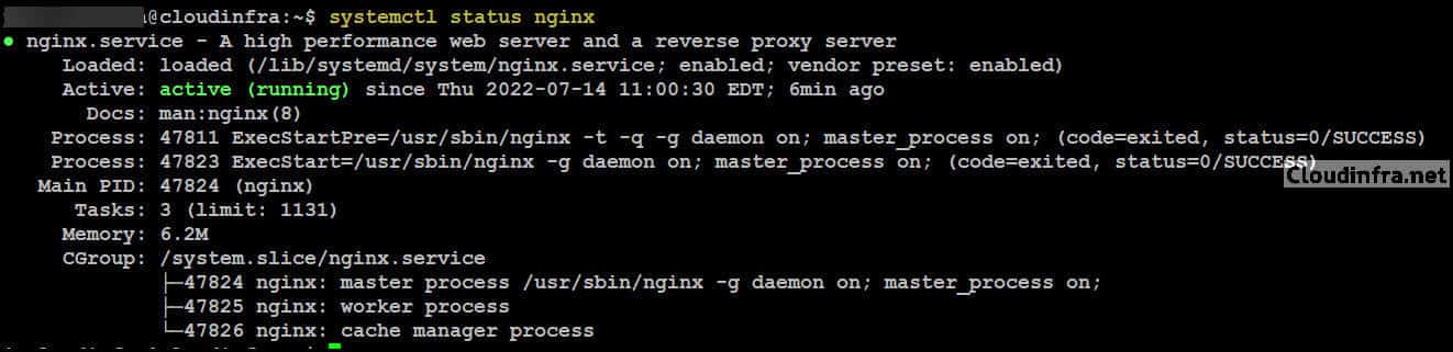 Nginx Service Status command