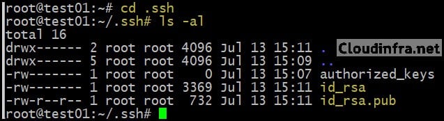 Change the folder location to .ssh by using cd .ssh