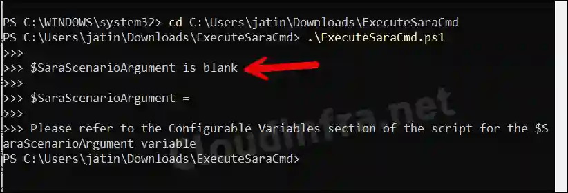 $SaraScenarioArgument is blank error