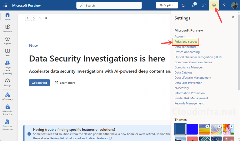 Purview Portal Roles and scopes