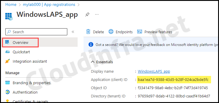Find Client ID from Azure App registration