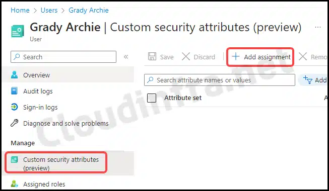 Assign Custom security attribute set to Entra ID Users
