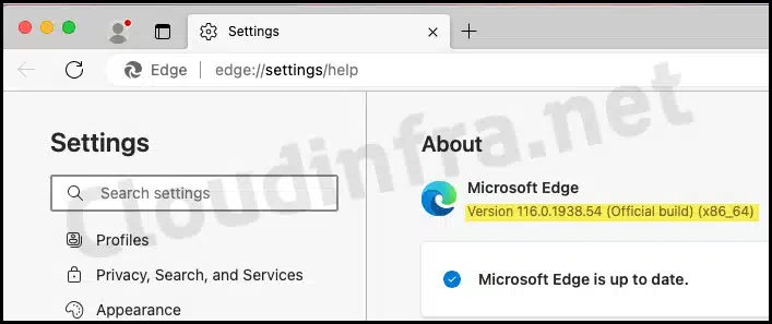 Which MS Edge browser version is deployed using Intune