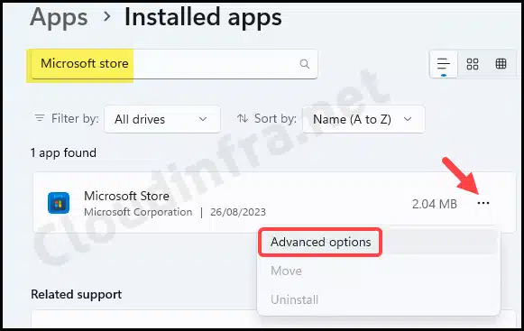 Microsoft store app advanced options