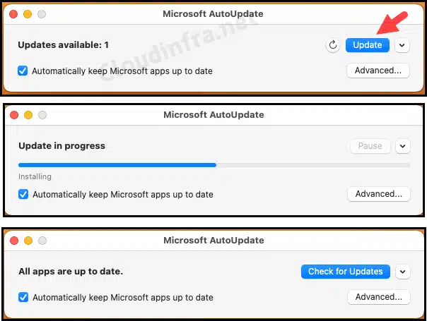 Update all Microsoft Apps on macOS