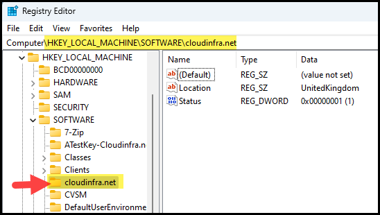 Example Registry Key cloudinfra.net