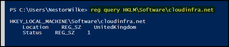 reg query HKLM\Software\cloudinfra.net