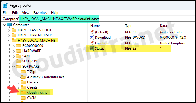 Example registry key cloudinfra.net and its registry entries