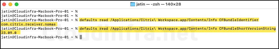 CFBundleIdentifier and CFBundleShortVersionString for Citrix Workspace App