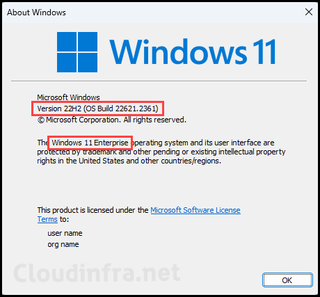 Windows 11 Build number and Edition Information using Winver