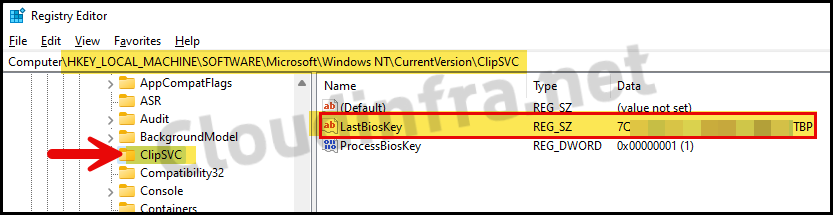 Get Windows 10/11 OEM product key Info from Registry