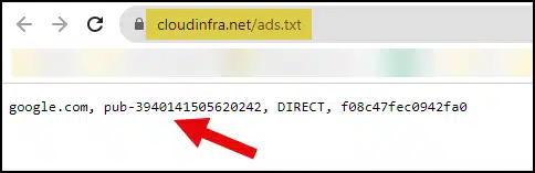 Test ads.txt file access from a web browser to confirm accessibility