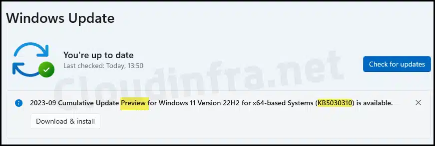 Download Windows 11 22H2 Moments 4 (KB5030310) using Windows update