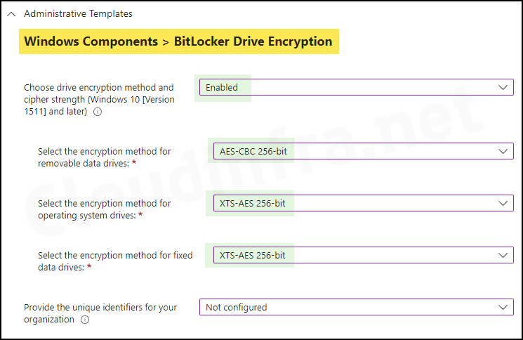 Windows Components > Bitlocker Drive Encryption options