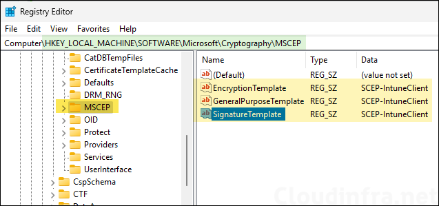 Update MSCEP  registry value with SCEP template