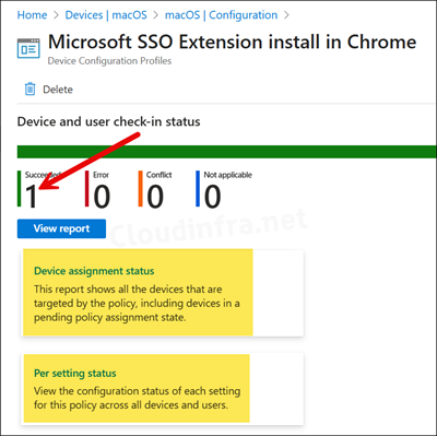 Monitor Microsoft SSO Extension Installation Progress