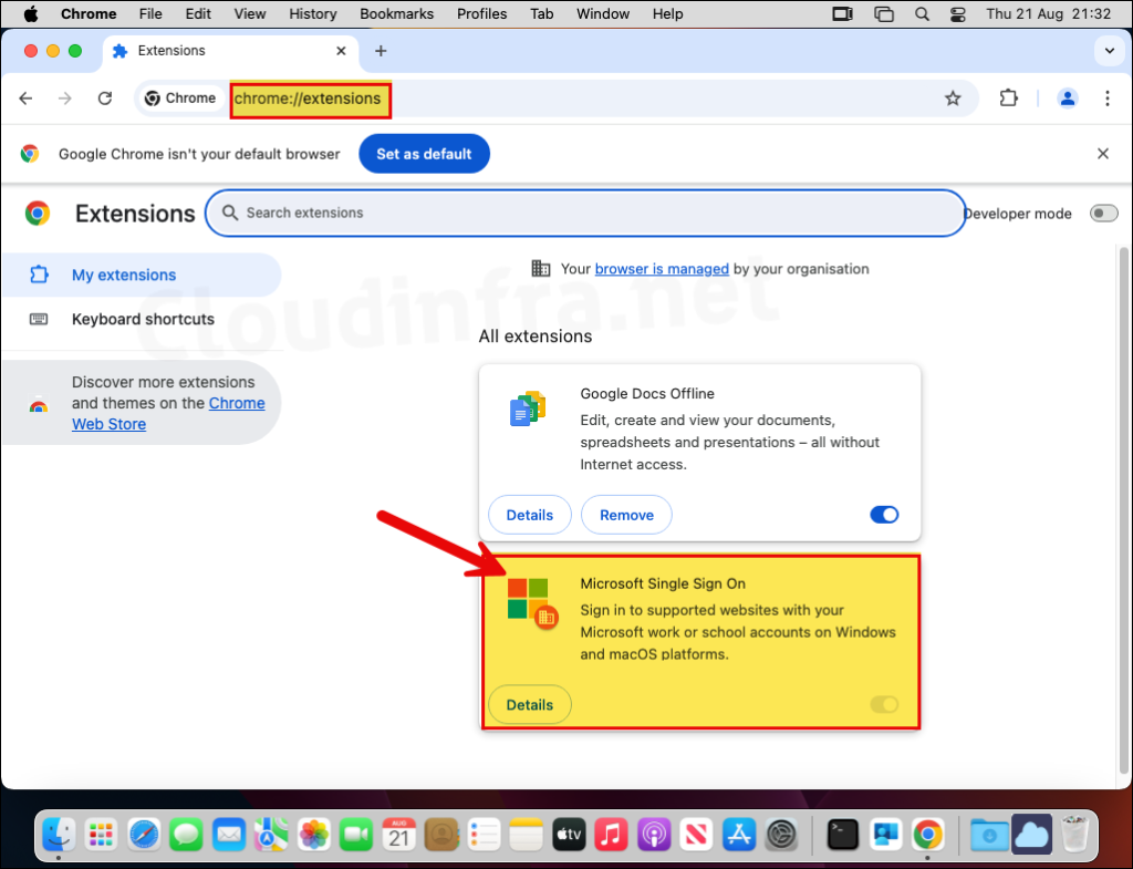 Microsoft Single Sign On Extension Installed in Chrome on Mac