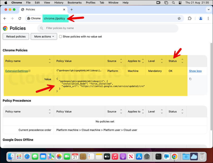 Chrome Extension Policy in macOS intune