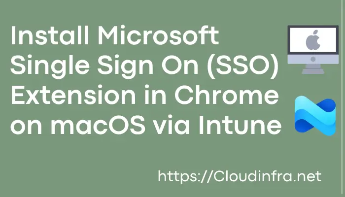 Install Microsoft Single Sign On (SSO) Extension in Chrome on macOS via Intune