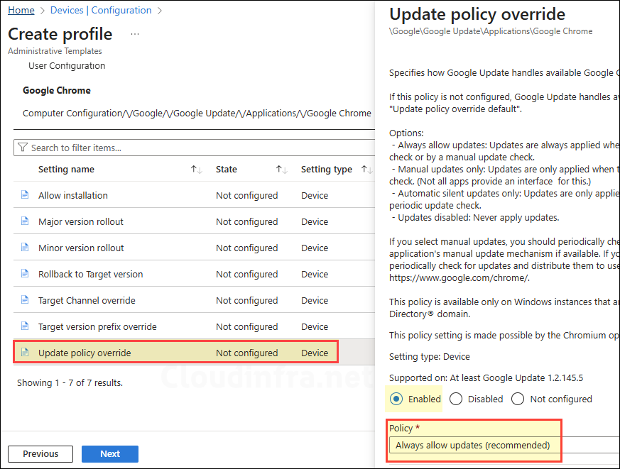 Update policy override Google update policy