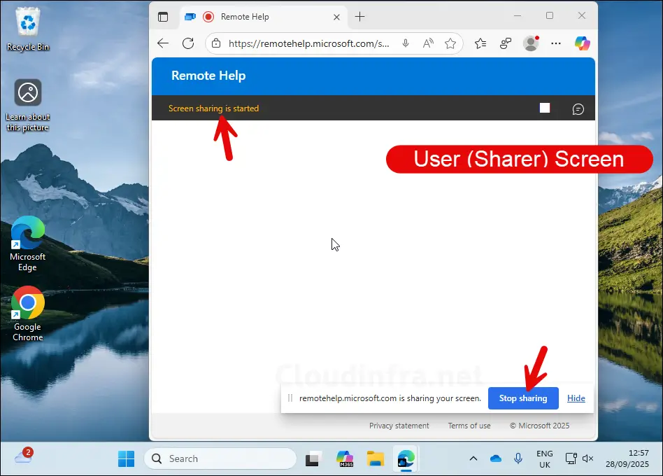 User screen after remote session established using Remote help web app