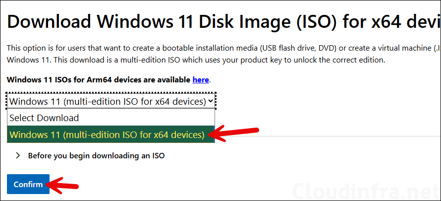 official Windows 11 25H2 ISO file.