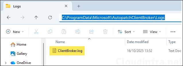 Autopatch client broker logs