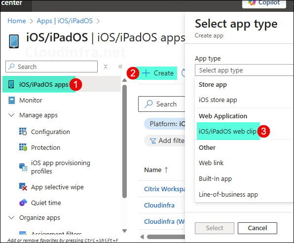 Web Clip App deployment for iOS/iPadOS