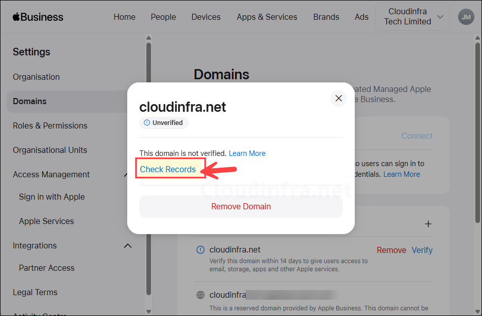 Get DNS records to verify