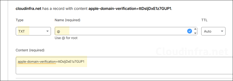 DNS text record in DNS register for apple business