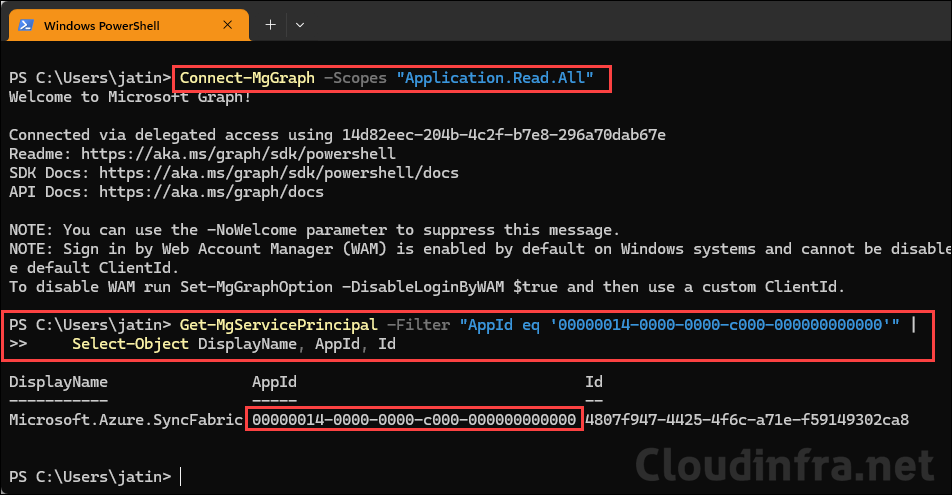Check Microsoft.Azure.SyncFabric Service Principal
