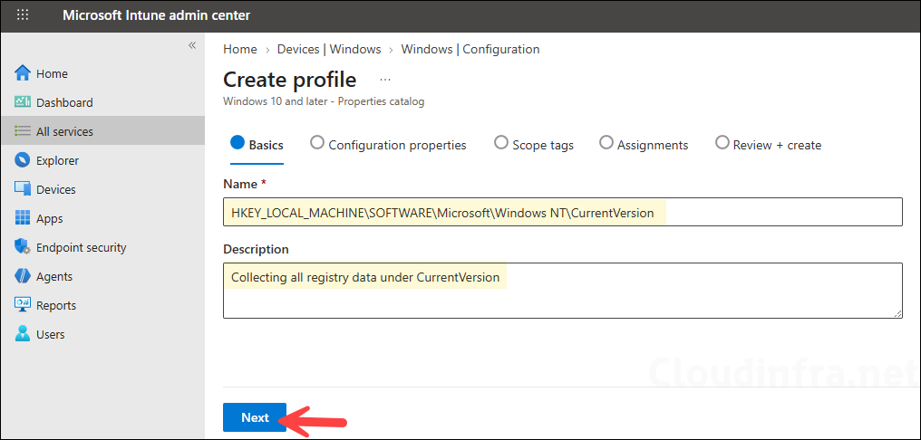 Basics tab - Properties catalog